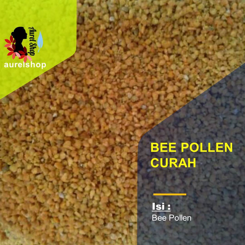 

Bee Polen Lebah Kering 1 kg