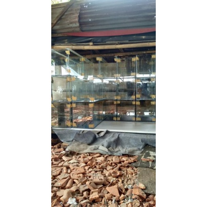 PROMO AKUARIUM UKURAN 60X30X35 KELILING FULL 5MM DASAR 8MM