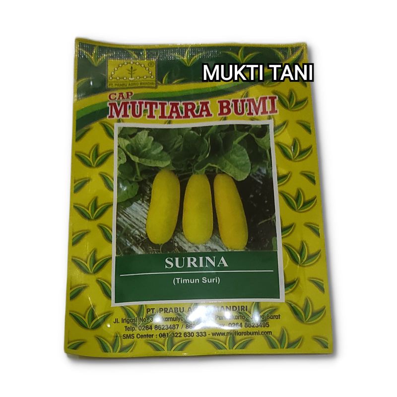 Benih Timun suri Surina 10 gram | bibit timun suri mutia bumi