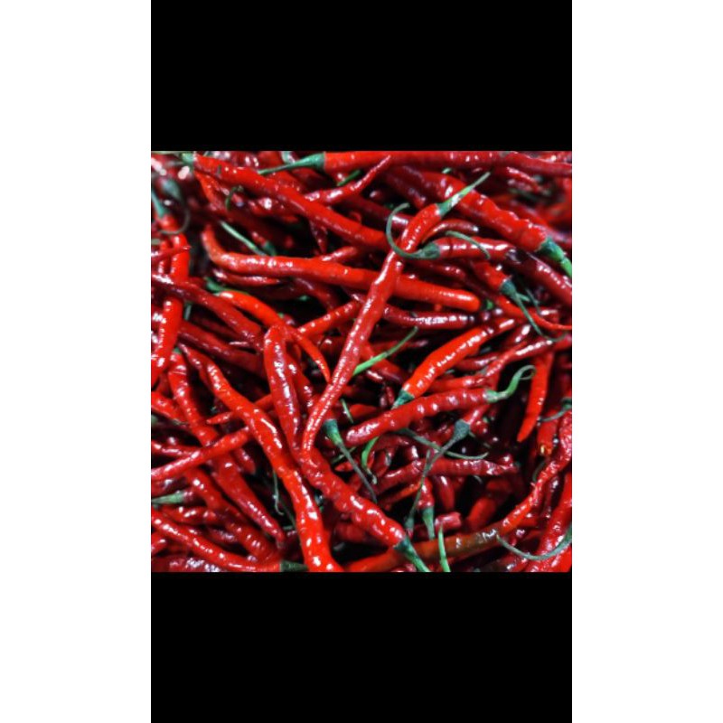 

Keriting merah 100 gr