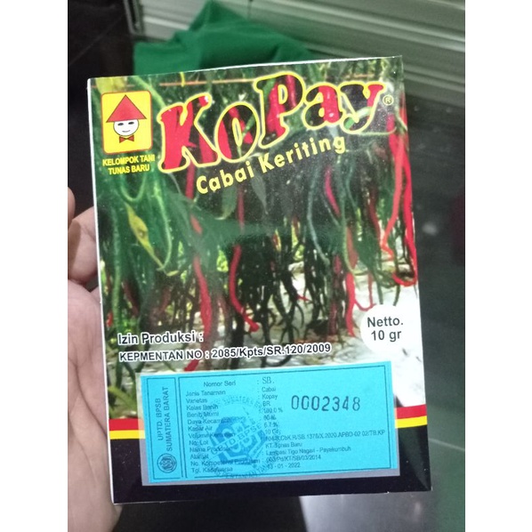 

CABI KERITING KOPAY / CMK COPAY /CABE UNGGUL SUMATERA UTARA