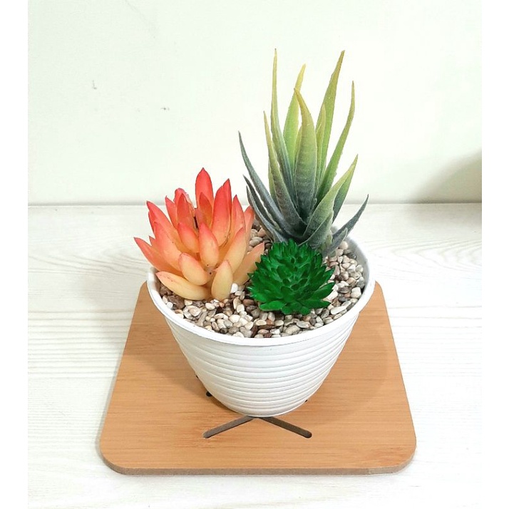 Sukulen Kaktus Mini Artificial/Sukulen Kaktus Cantik/Sukulen Kaktus Plastik/Sukulen Kaktus Palsu
