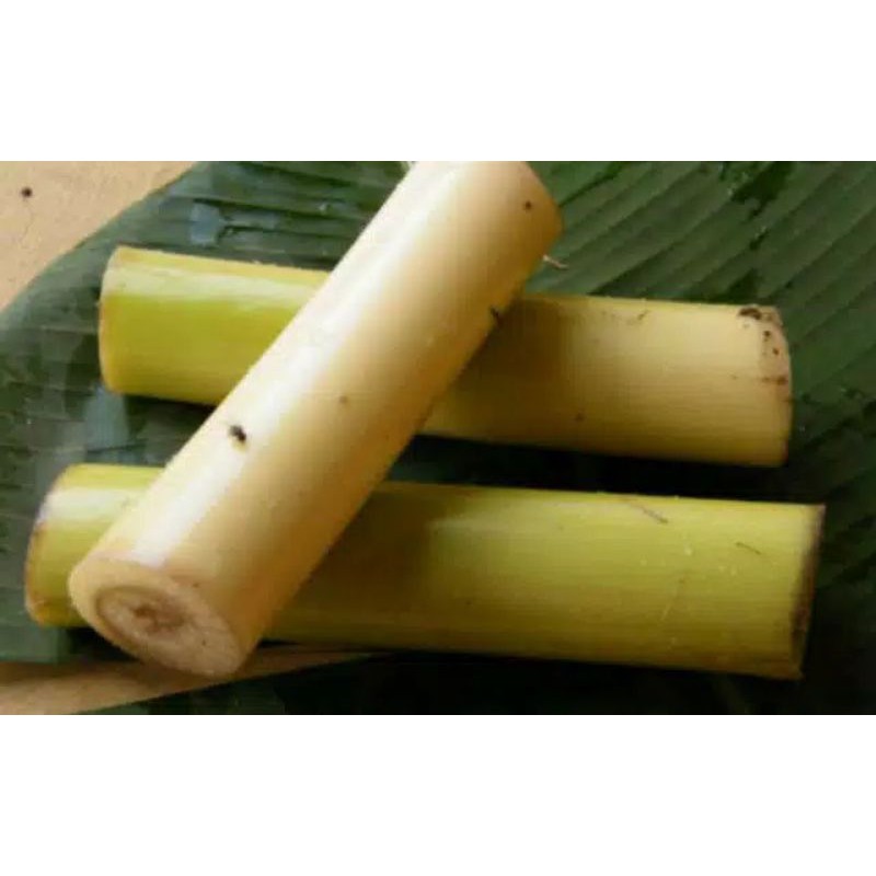 

kedebong pisang batang pisang