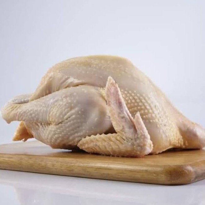 

Ayam kampung Asli 1 ekor