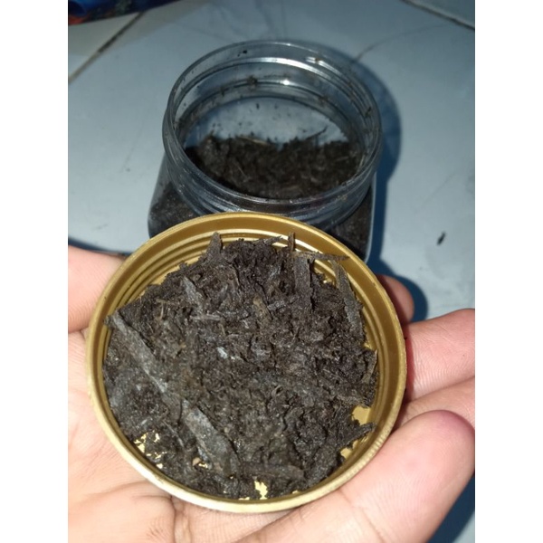 buhur kayu gahru isi bnyk loh