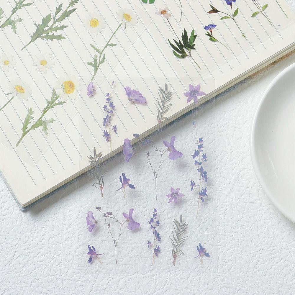 Populer Sticker Dekorasi Scrapbooking Diary Label PET Flat Stiker