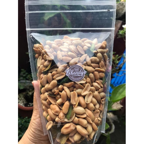 

Kacang Bali