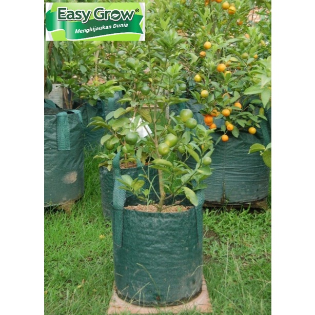 Planter bag 45 Liter EASY GROW planterbag 45liter easygrow kantong Pot polybag semai benih bibit Tanaman bunga sayuran buah planter bag