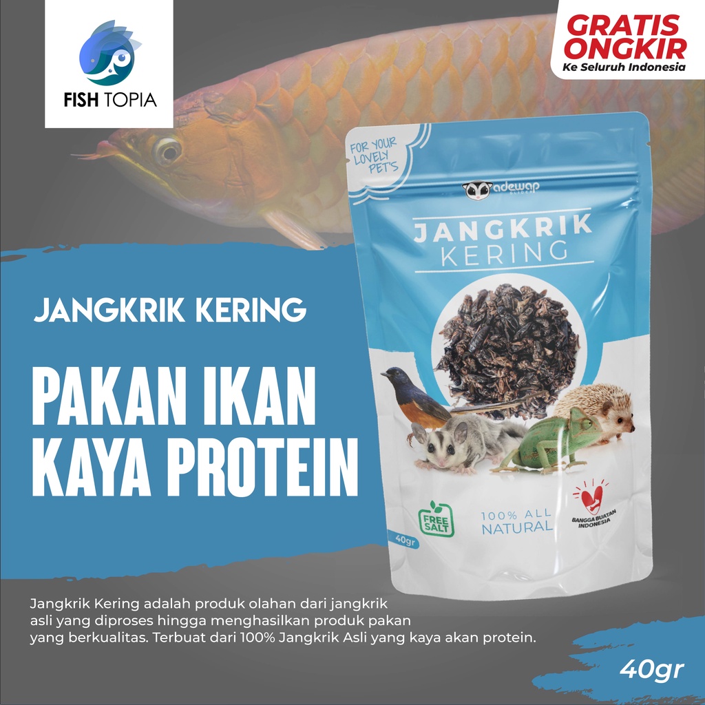 JANGKRIK KERING 40 GRAM PAKAN IKAN HIAS PREDATOR PRAKTIS PROTEIN TINGGI MEMPERCEPAT PERTUMBUHAN IKAN