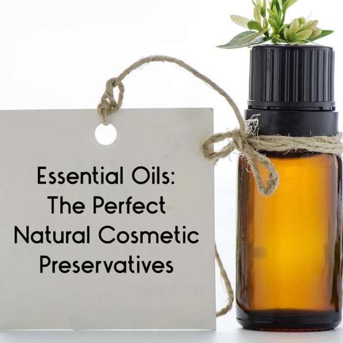 

Essential Oil As Natural Cosmetic Preservatives /Pengawet Kosmetik Eco