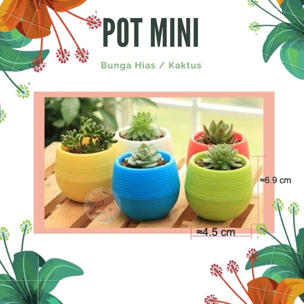 Pot Mini Bunga Hias Kaktus Tanaman untuk Dekorasi Rumah Kamar Ruangan Kantor Aesthetic Stuff - 5 PCS