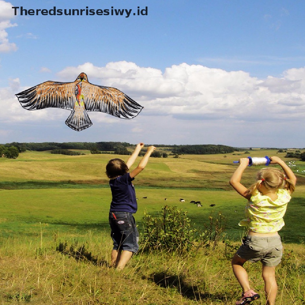 (Theredsunrisesiwy.Id) 1.1m Eagle Kite Stunt Kite Dengan Line 30m Outdoor Mainan Anak