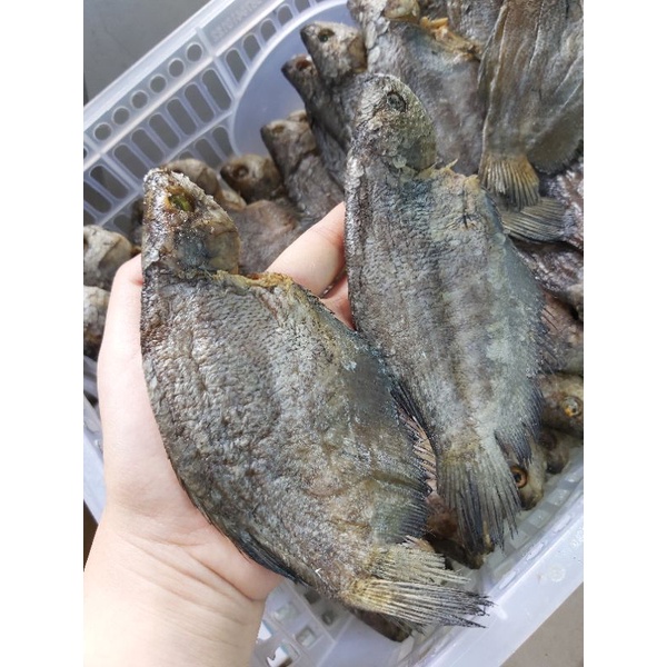

sapat siam khas banjar 1kg