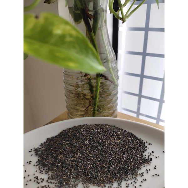 

Chia Seed - 250gr *Solo*