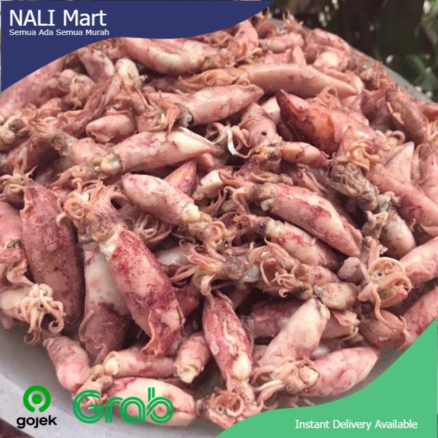 

Cumi-cumi Asin Ukuran Sedang Asin Teri Sayur Online 100gr