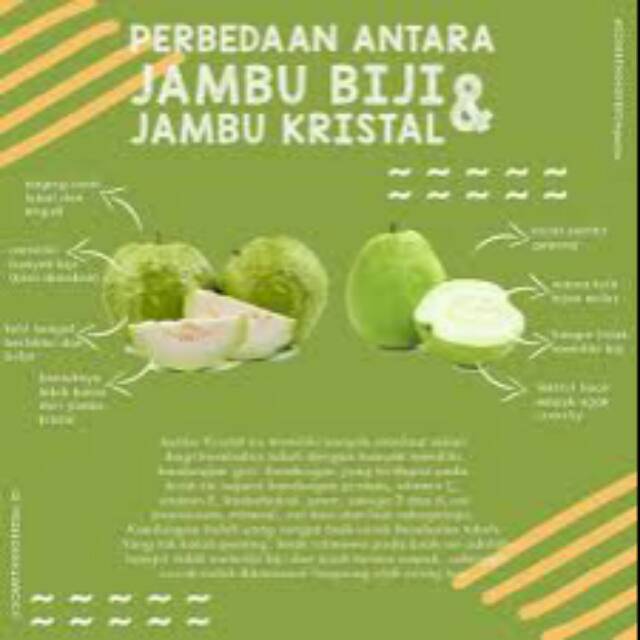 

Jambu kristal 1 kg