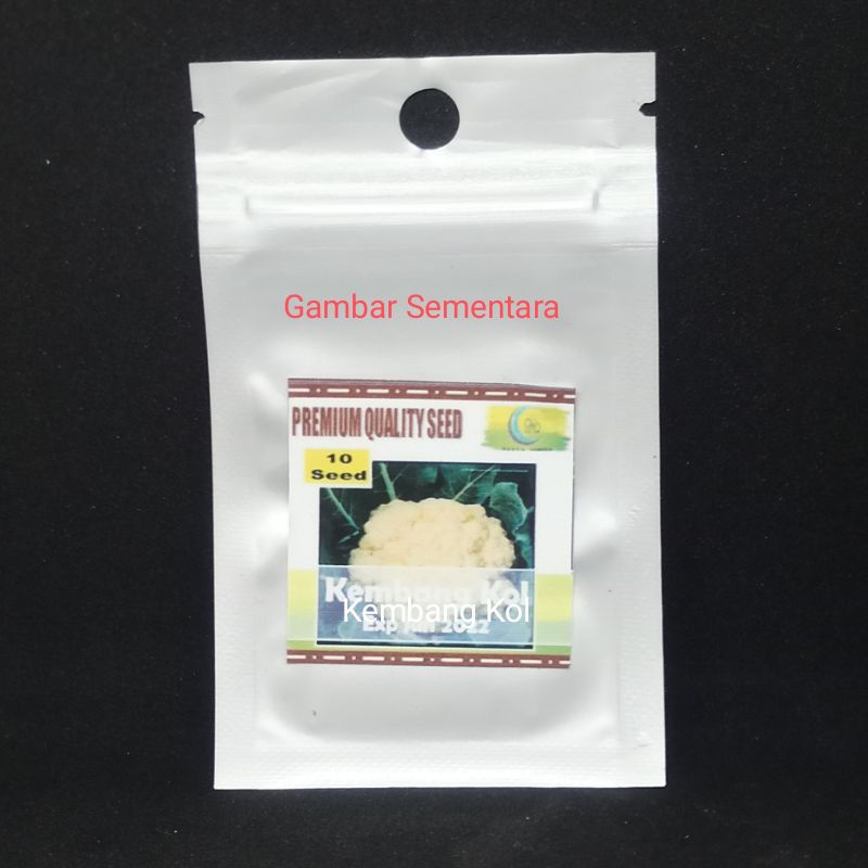 Benih Biji Sayur Kangkung Bayam Selada Sawi Kemangi Seledri Daun Bawang Kubis Kembang Kol Brokoli Wortel Cabe Cabai Tomat Paprika Terong Kacang Panjang Buncis Timun Labu Pare Oyong Gambas-Brokoli 5 biji