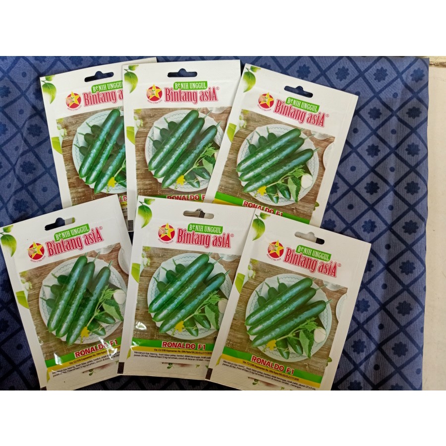 Benih Bibit Timun Jepang - Timun Hijau RONALDO F1
