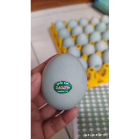 

telur asin - katmi olshop123