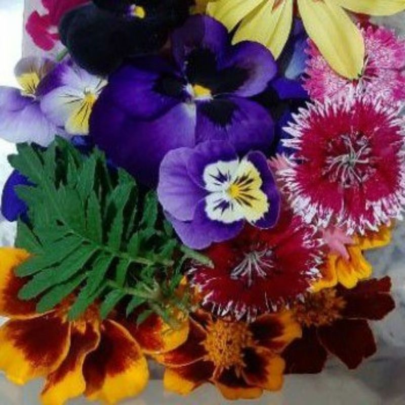 

Cake Decoration