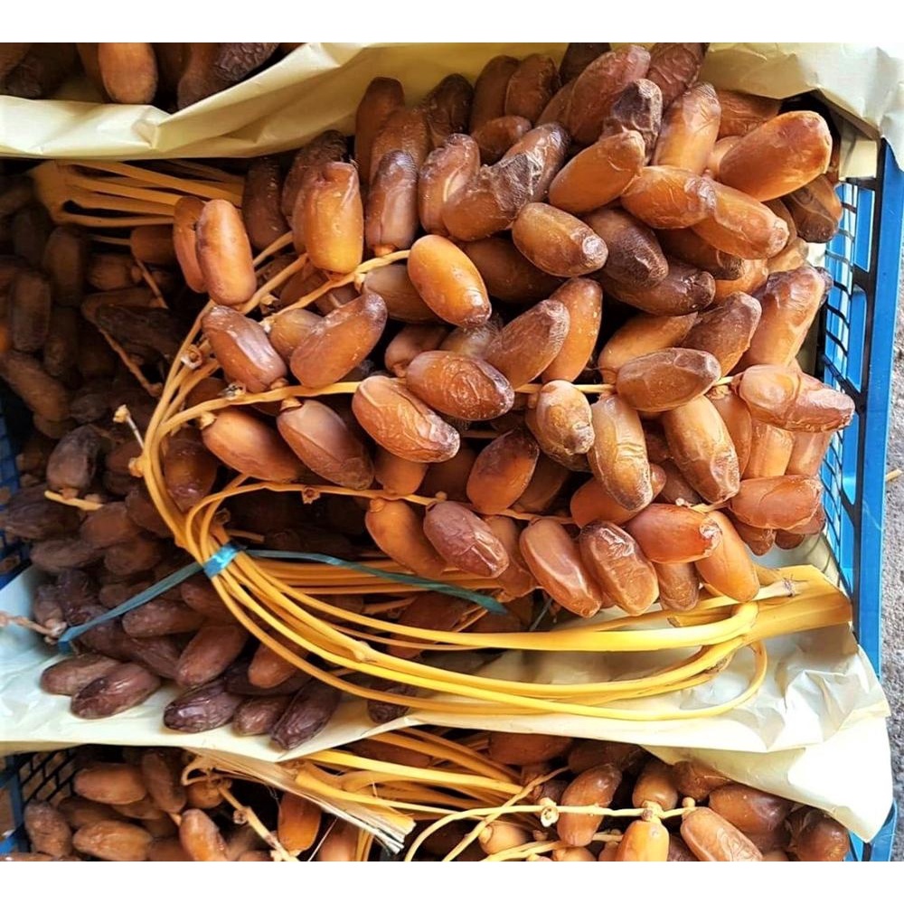 Kurma Tunisia Madu 1 kg - Deglet Nour Dates