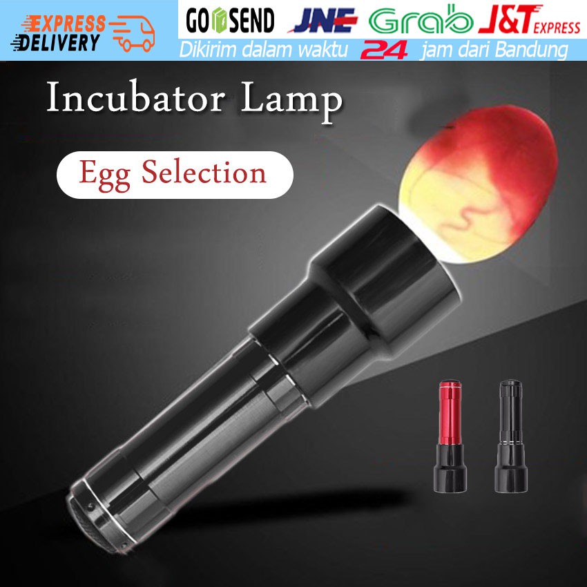 Inkubator Lamp LAMPU SENTER TEROPONG TELUR BURUNG MURAI KACER KENARI LOVEBIRD CUCAK DLL