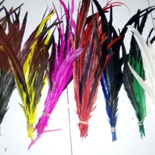 ✨MEGA ⚡ALE✨/Bulu lancur ayam jago panjang 27-45cm/ bulu ekor jago panjang isi 10 bijiBulu lancur aya