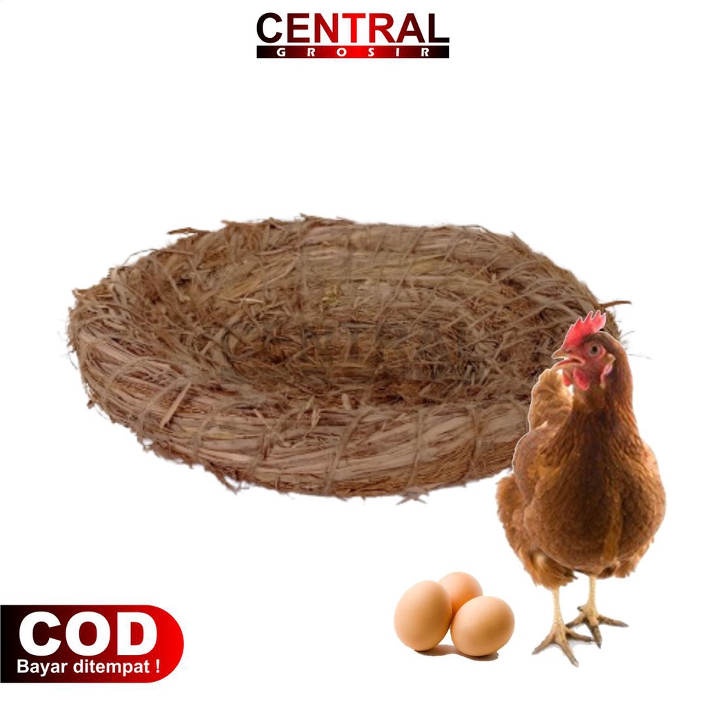 SARANG | SUSUH JERAMI | TARANGAN AYAM BABON | TEMPAT MENGERAM AYAM