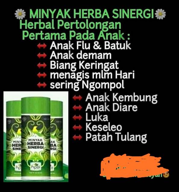 Minyak Herba Sinergi Minyak But But Minyak Urut Terapi Minyak Urut Herbal Shopee Indonesia