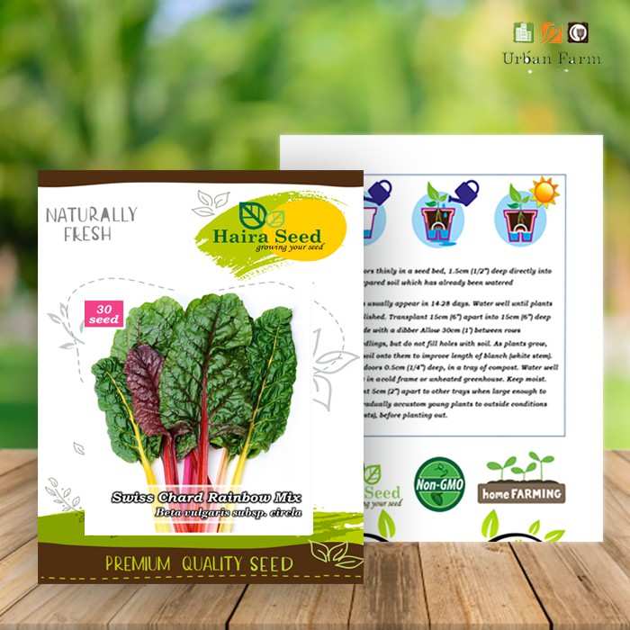 Benih-Bibit Swiss Chard Rainbow Mix (Haira Seed)