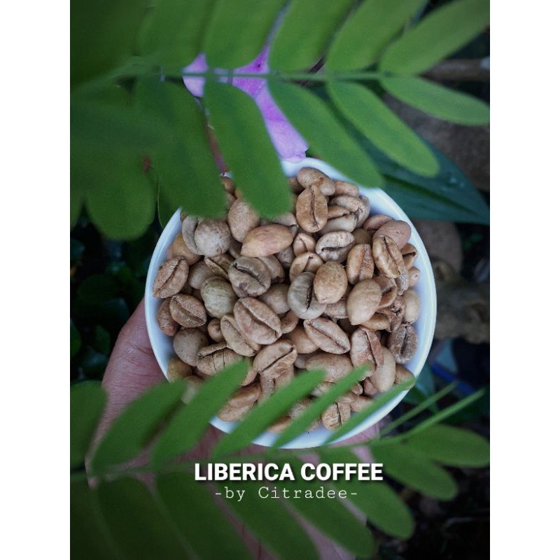 

Biji Kopi ( Greenbean Liberica Cofffe)