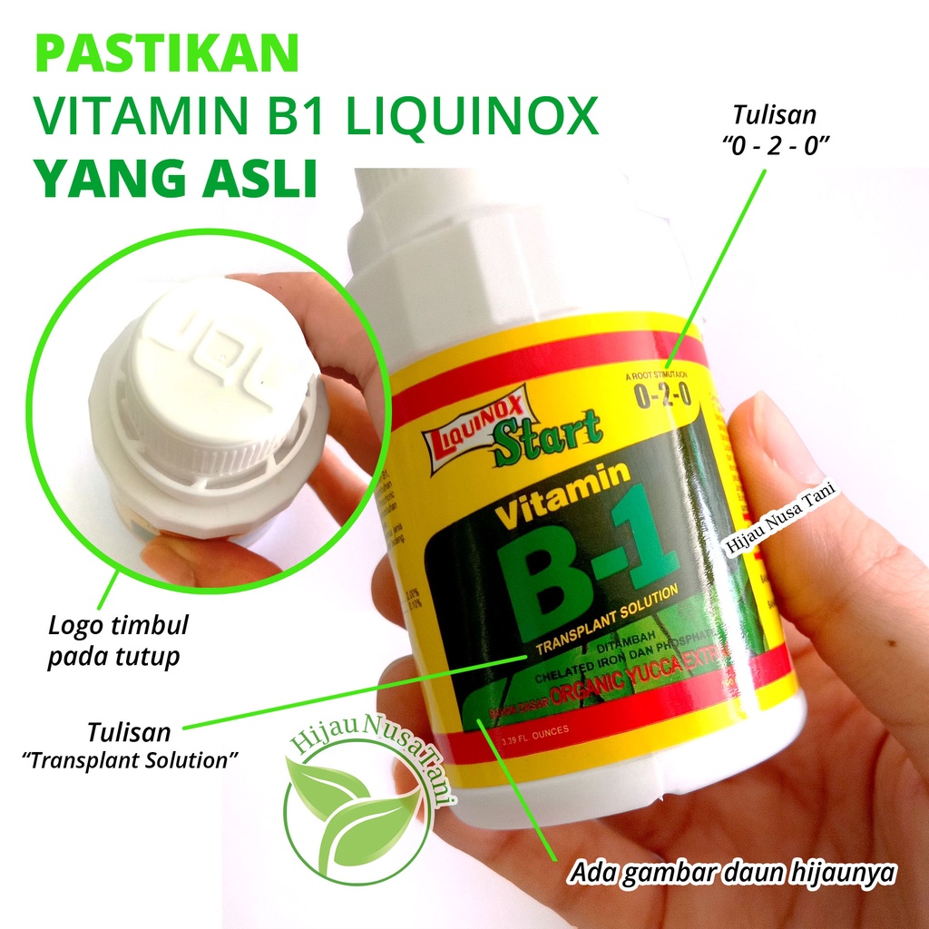 Pupuk Liquinox B1 100 ml - ASLI ORIGINAL ZPT Vitamin Anti Stress Tanaman Perangsang Pertumbuhan Akar
