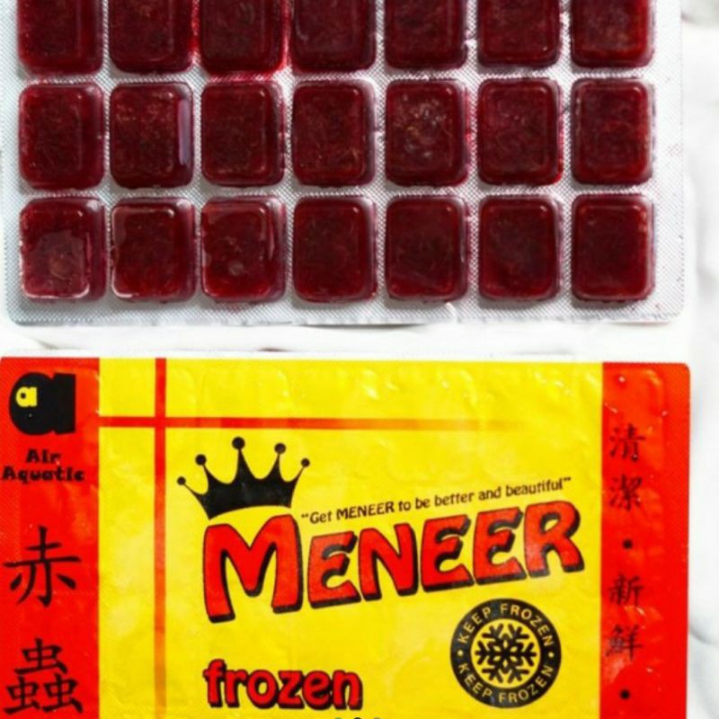 Cacing beku /bloodworm