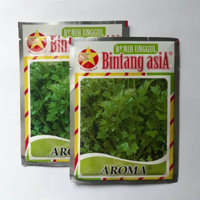 Benih/bibit Seledri AROMA 20gram
