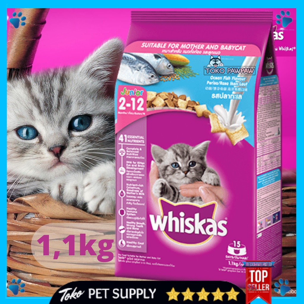 Jual Whiskas Junior 1,1kg Pakan Kucing Makanan Kucing Murah Ocean Fish