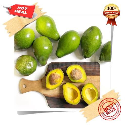 

BEST SELLER PAKET 2 KG ALPUKAT MENTEGA REGULER AVOCADRON