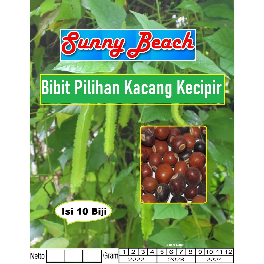 Bibit Pilihan Kacang Kecipir |Benih Kacang Kecipir|Kacang Belimbing|Bibit Sayur Kecipir