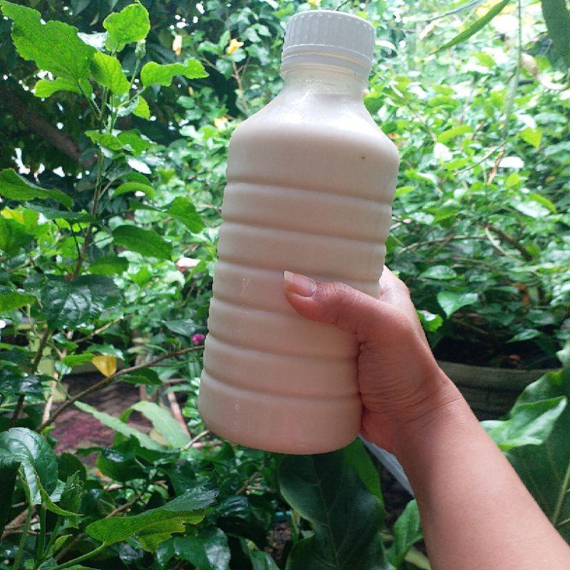 

SOYA MILK HOME MADE 250 - 1500ml