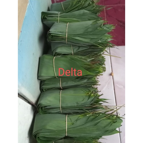 

Daun Bambu jumbo segar,Bungkus Bacang,satu ikat isi 100 lembar