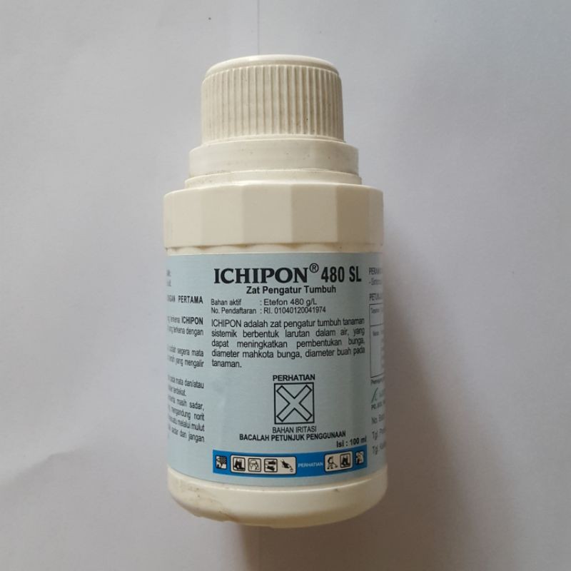 Ichipon 480SL 100ML Pupuk Penumbuh Buah dan Percepat Kematangan Buah