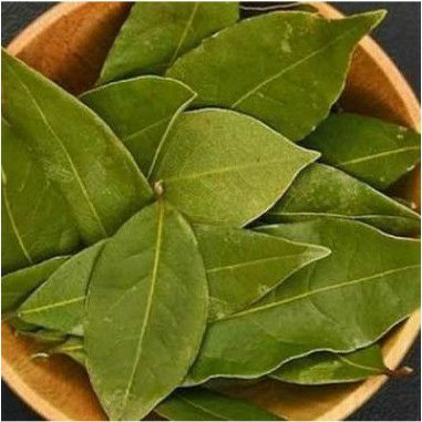

Daun Salam