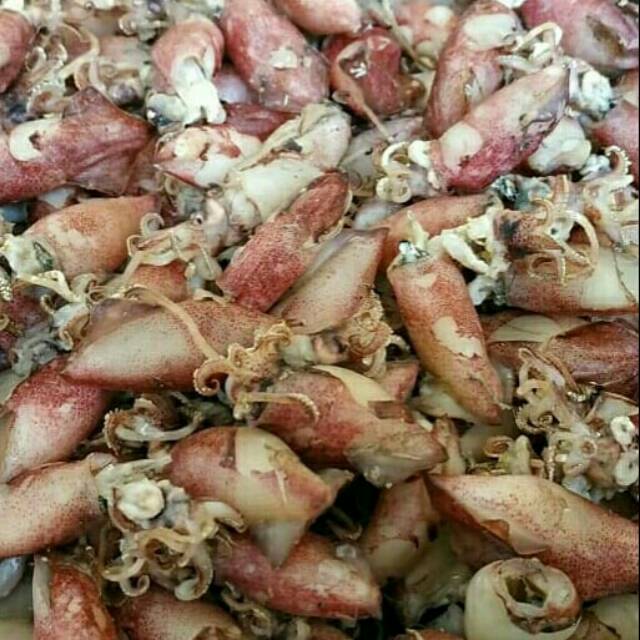 

Baby cumi asin 250g