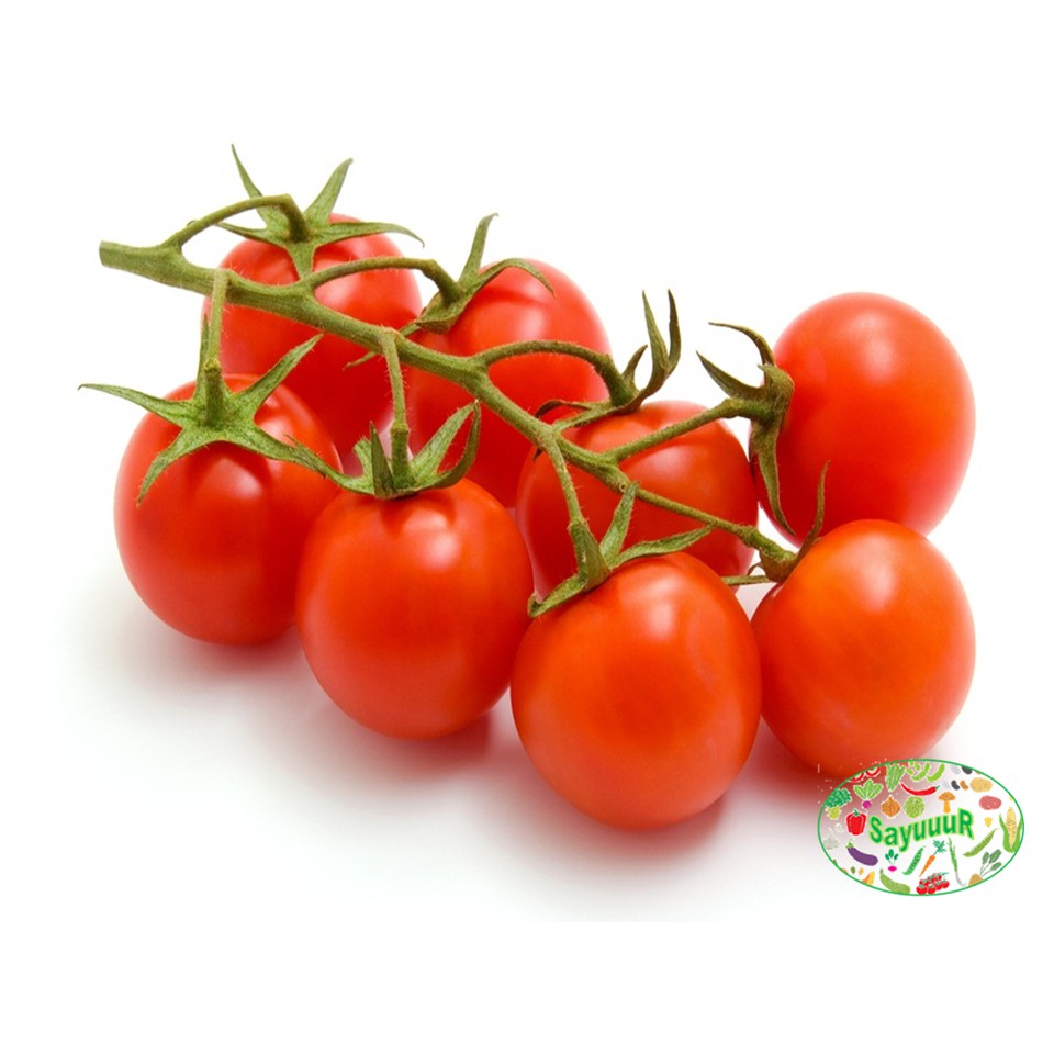 

tomat ceri perbungkus