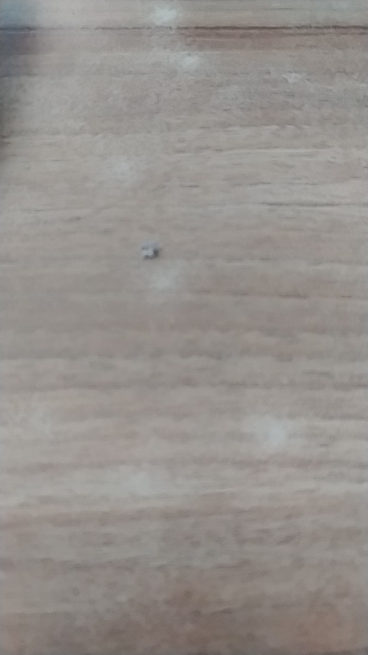 Shower Mandi Onda So 250