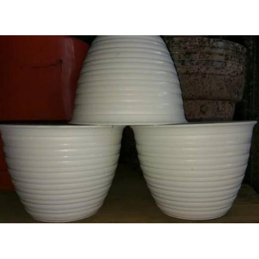 (Diskon) Pot Bunga Tawon Putih 15 / Pot Bunga / Pot Tawon <