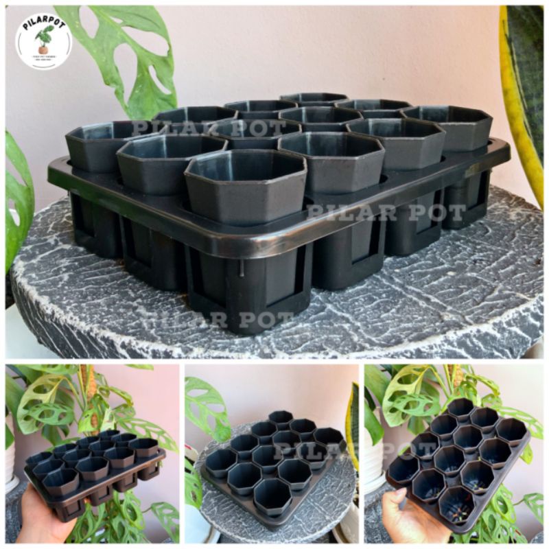 1 set Tray + POT BUNGA NKT PAGODA MINI 5CM HITAM | tray semai bibit