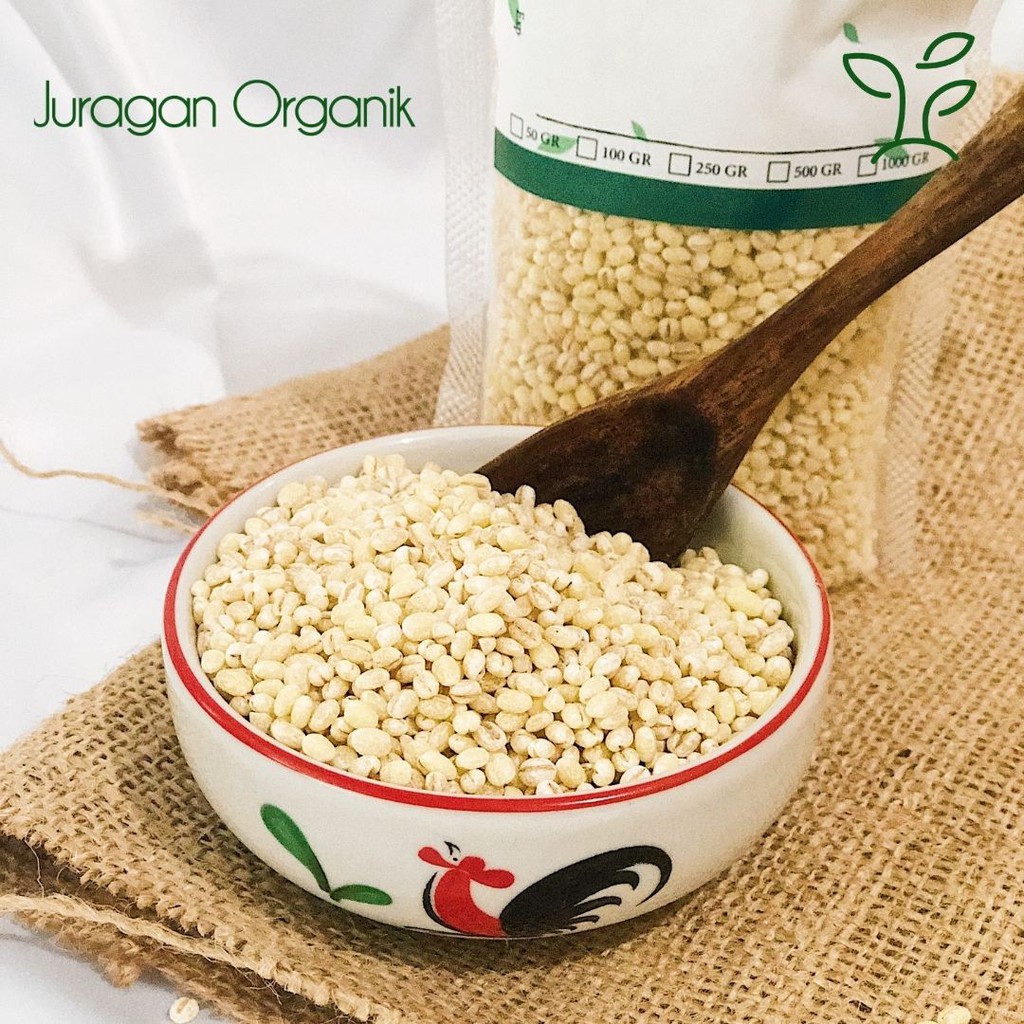 

Organic Pearl Barley Seeds 100gr / Biji Jali-Jali