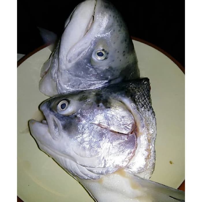 IKAN SALMON (KEPALA) / SALMON HEAD FROZEN NORWEGIAN