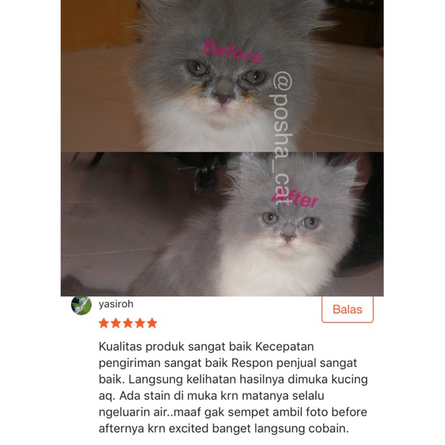 Posha_cat Stain remover powder  / tear stain remover kucing 12,5gr / memudarkan noda