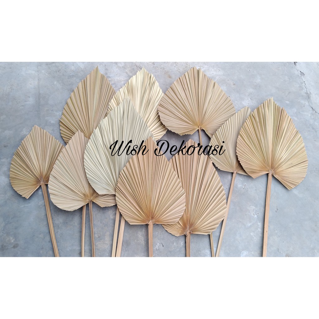 DAUN PALEM KERING MINI BUNGA KERING DEKORASI RUSTIC ISI 10 PCS